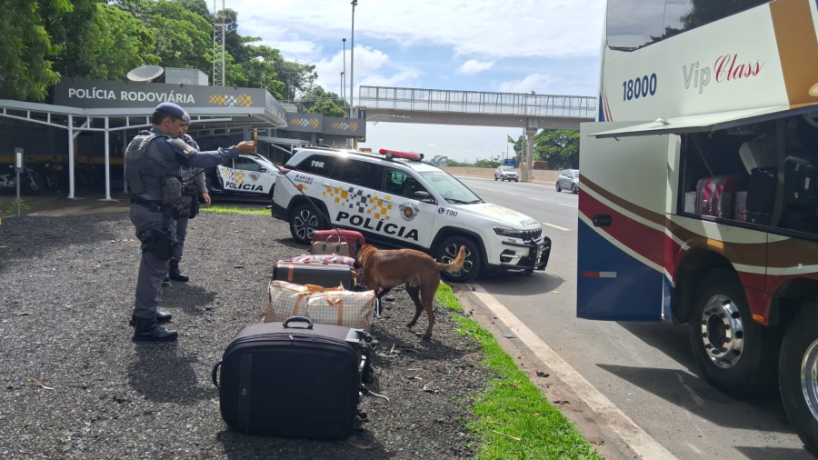 Polícia Rodoviária e BAEP fiscalizam ônibus na Rodovia Anhanguera